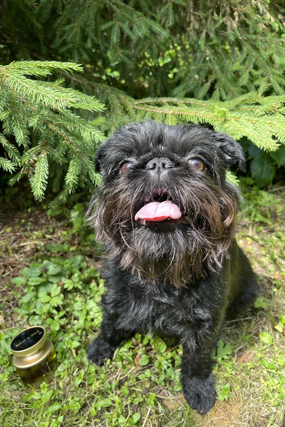 Mona di Orio Bohea Boheme