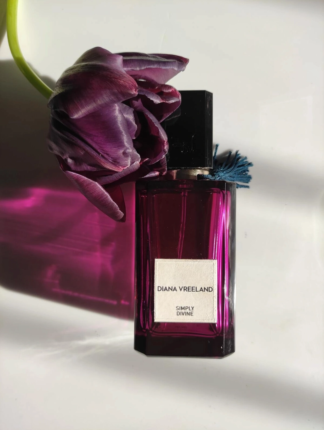 Diana Vreeland Simply Divine