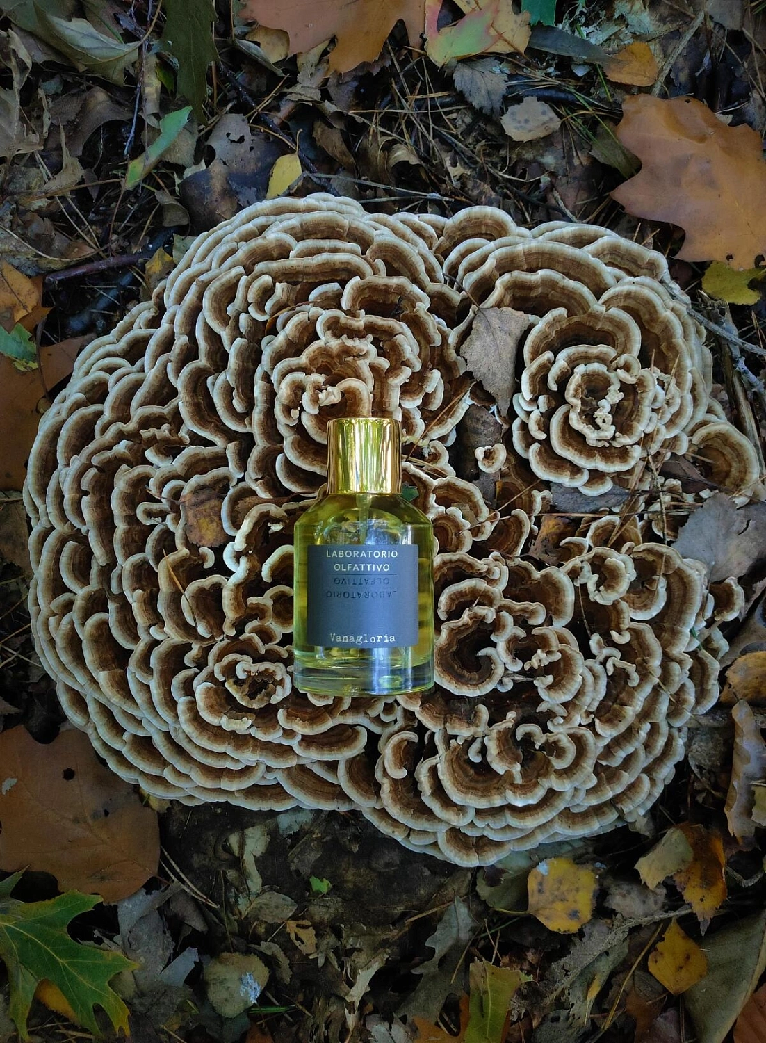 Laboratorio Olfattivo Vanagloria