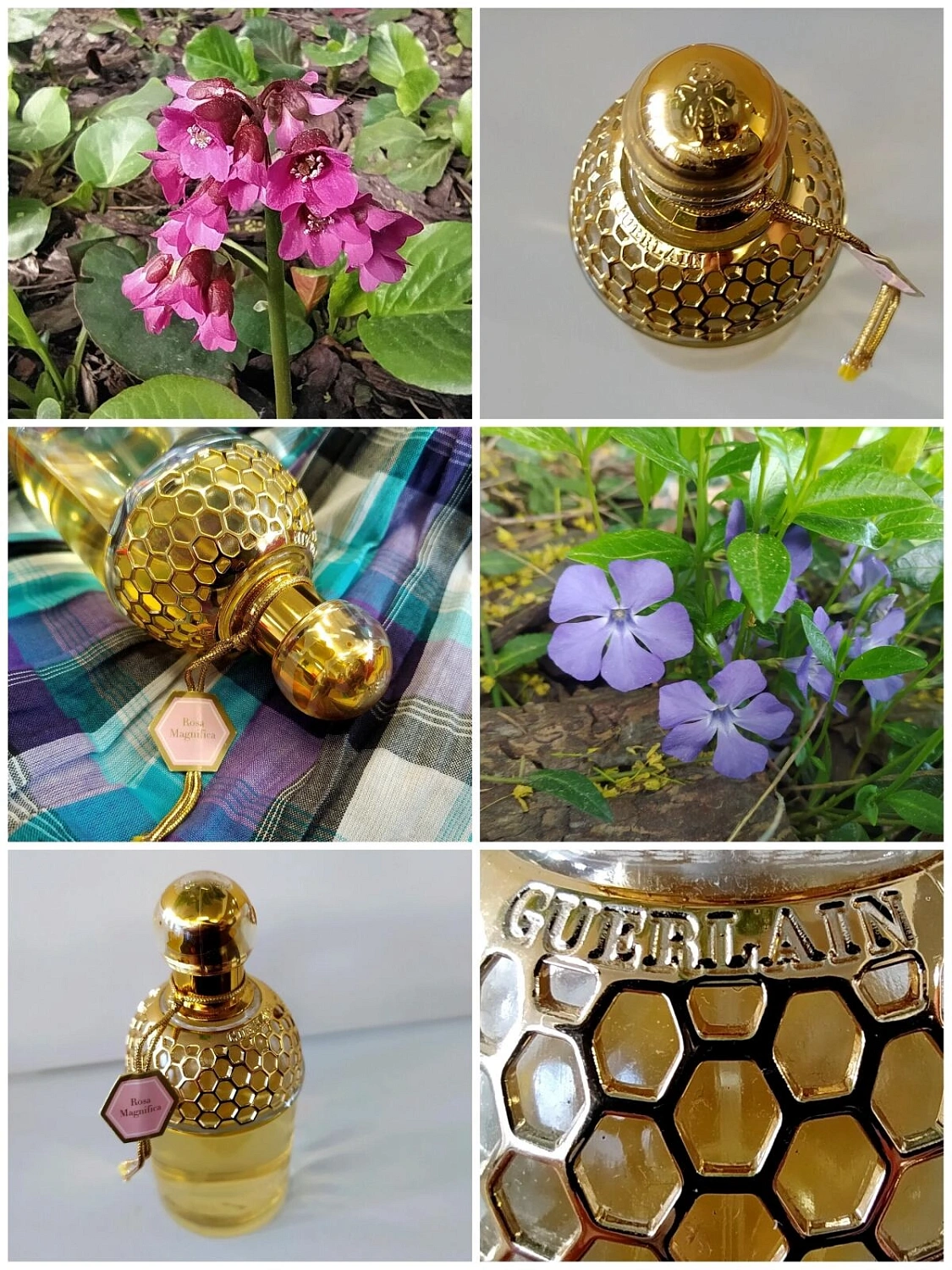 Guerlain Aqua Allegoria Rosa Magnifica