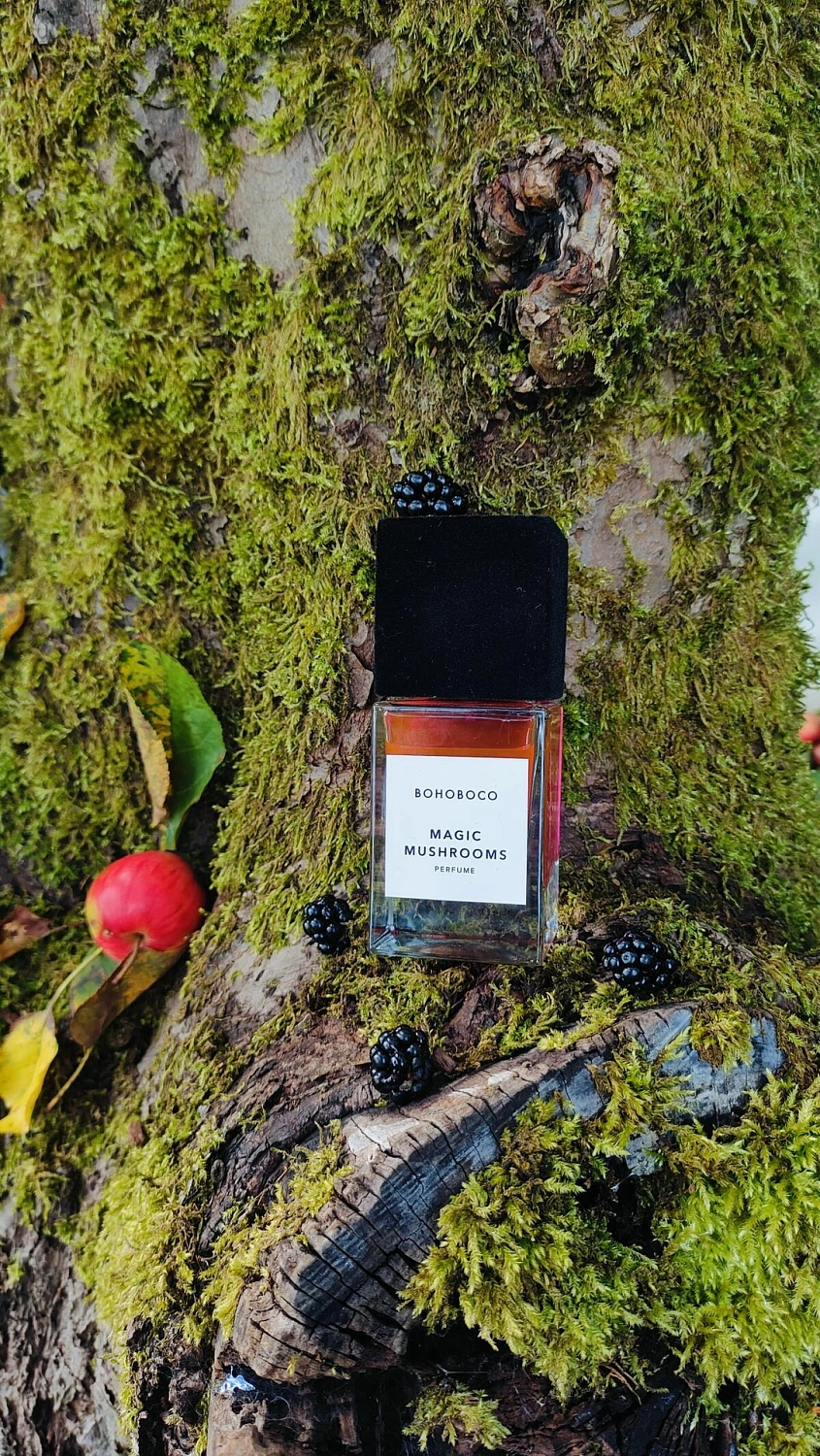 Bohoboco Magic Mushrooms