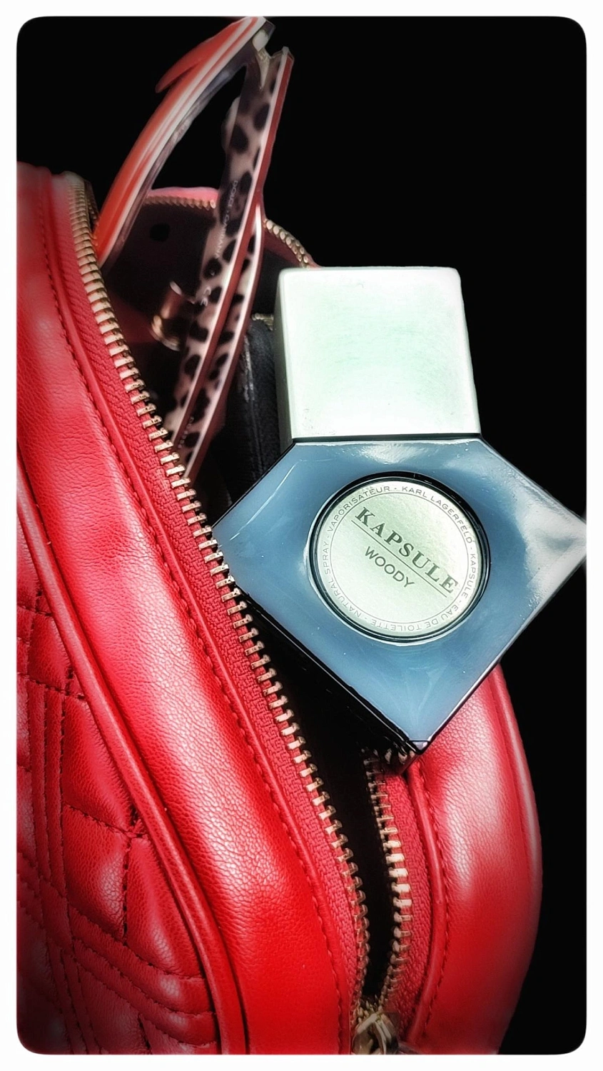 Karl Lagerfeld Kapsule Woody