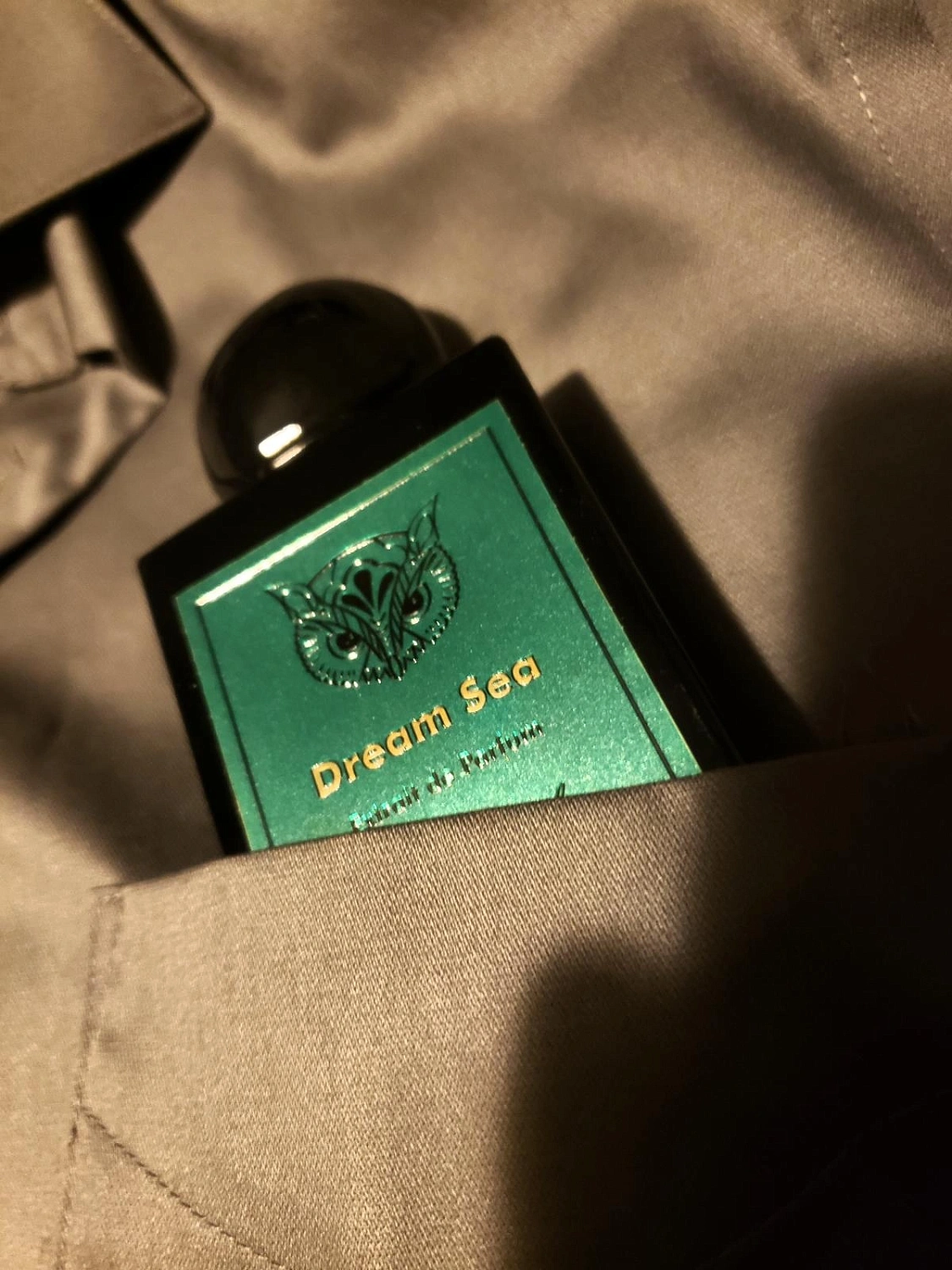 Lorenzo Pazzaglia Dream Sea