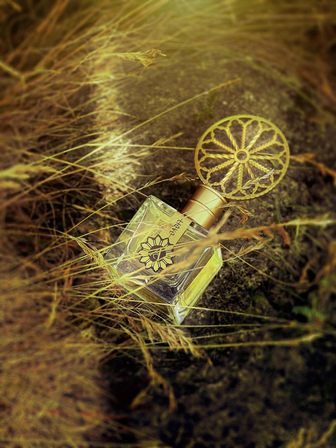 Angela Ciampagna Liquo