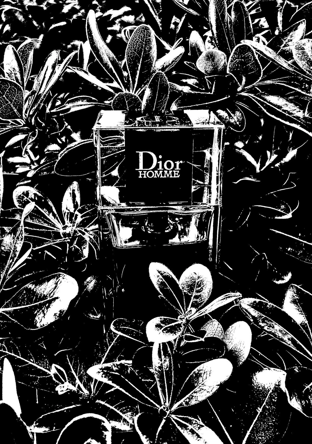 Christian Dior Dior Homme Sport 2021