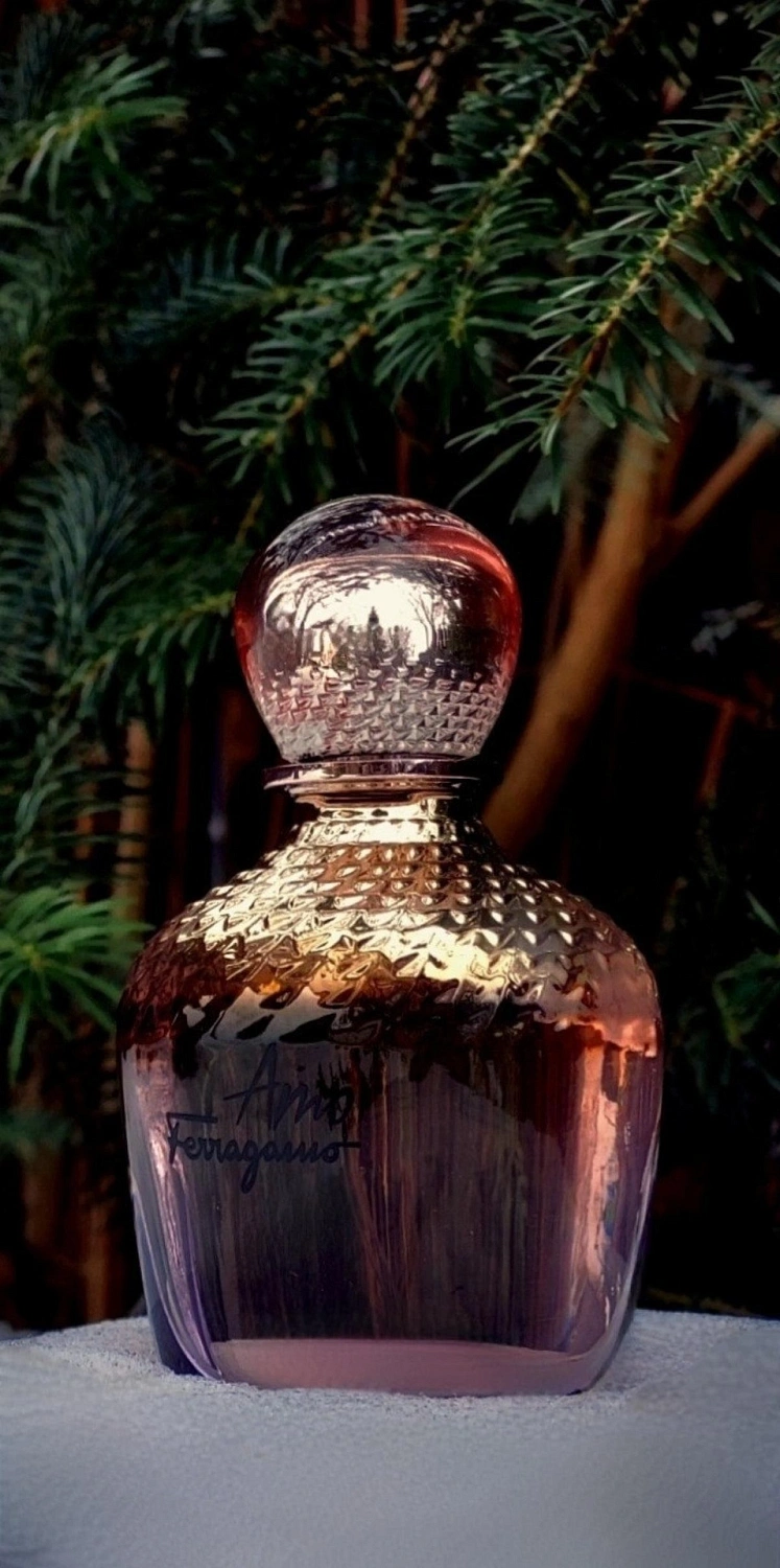 Salvatore Ferragamo Amo Ferragamo