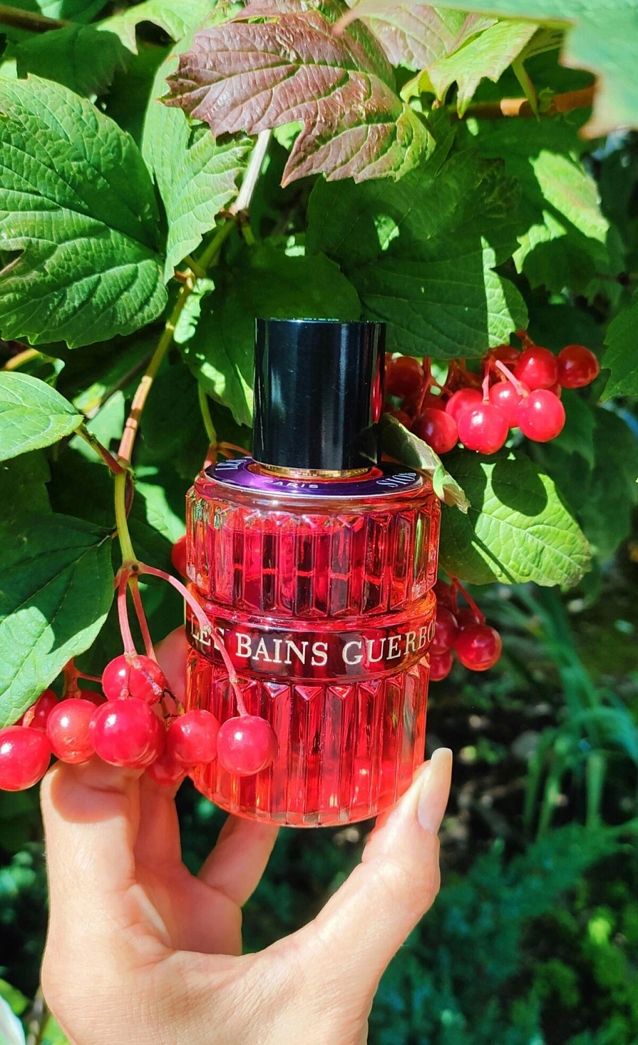 Les Bains Guerbois 1992 Purple Night