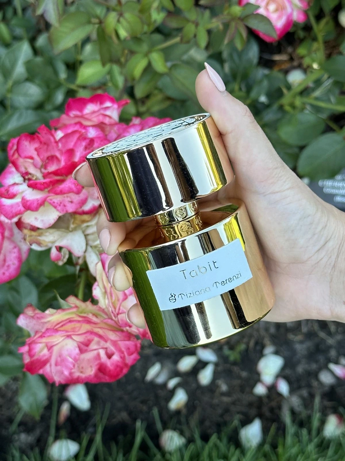 Tiziana Terenzi Tabit