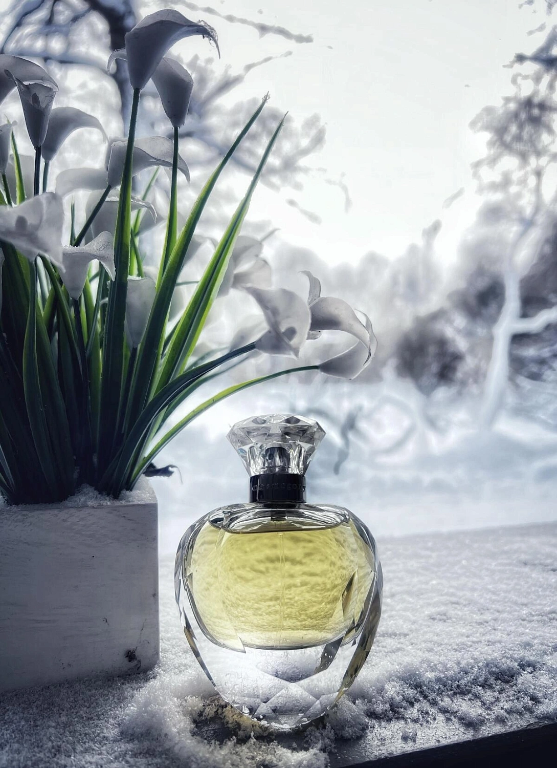 Cosmogony Moon Light