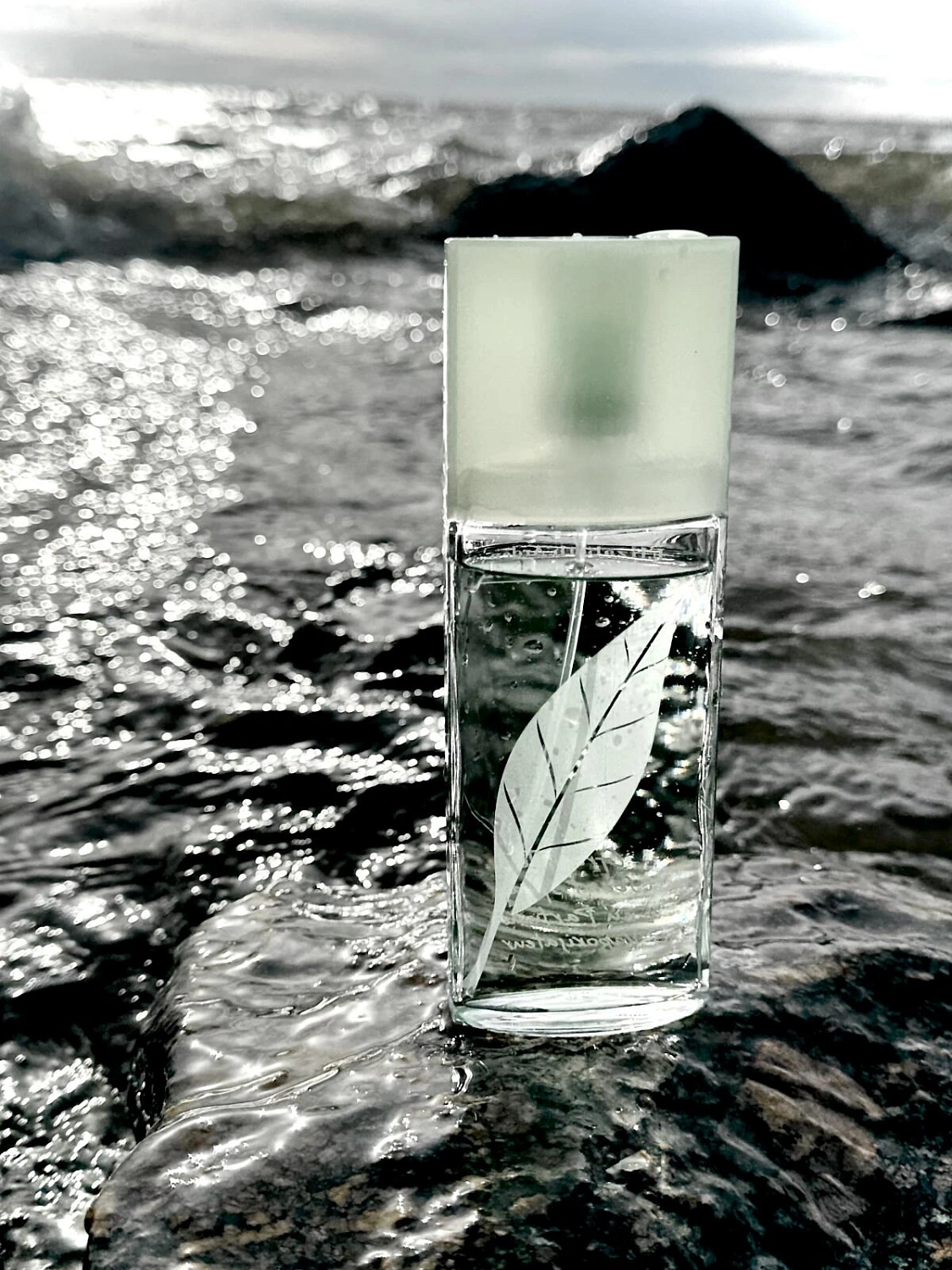 Elizabeth Arden Green Tea Elizabeth Arden Green Tea