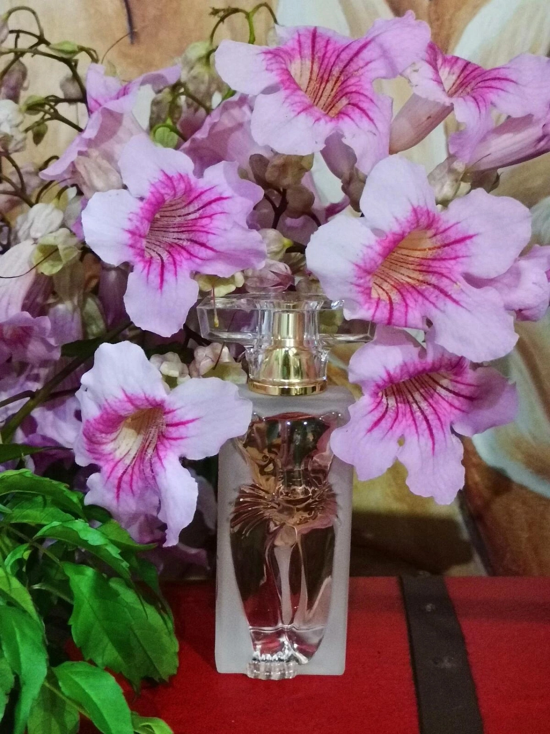 Salvador Dali La Belle et l’Ocelot Eau de Toilette