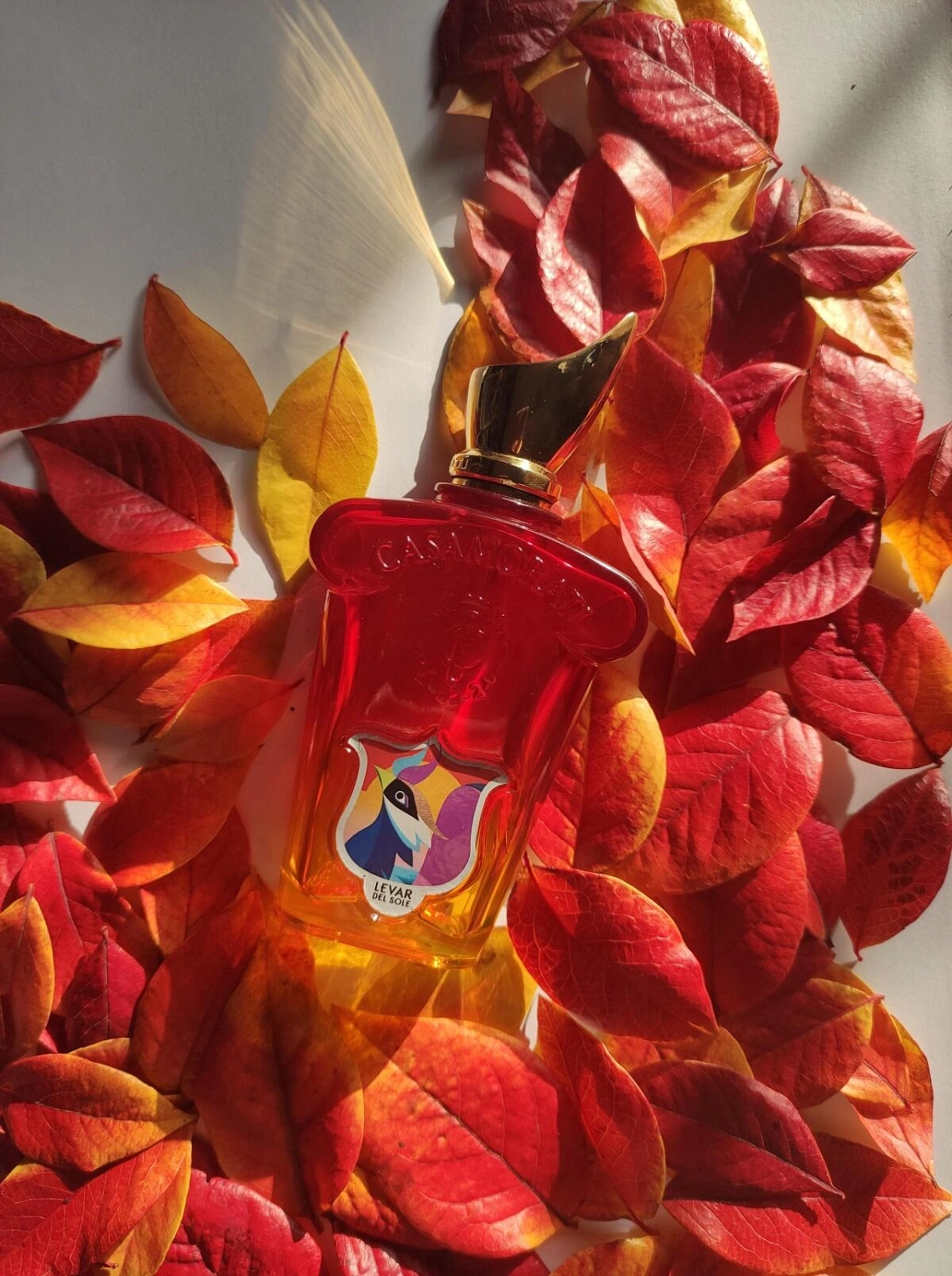 Xerjoff Levar del Sole