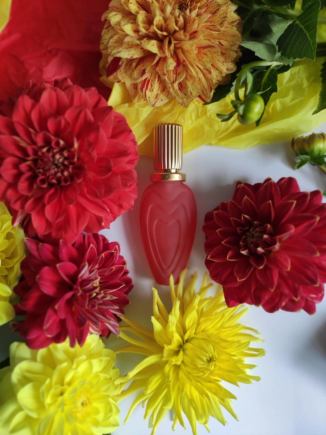 Escada Margaretha Ley Summer In Provence Escada Margaretha Ley Summer In Provence