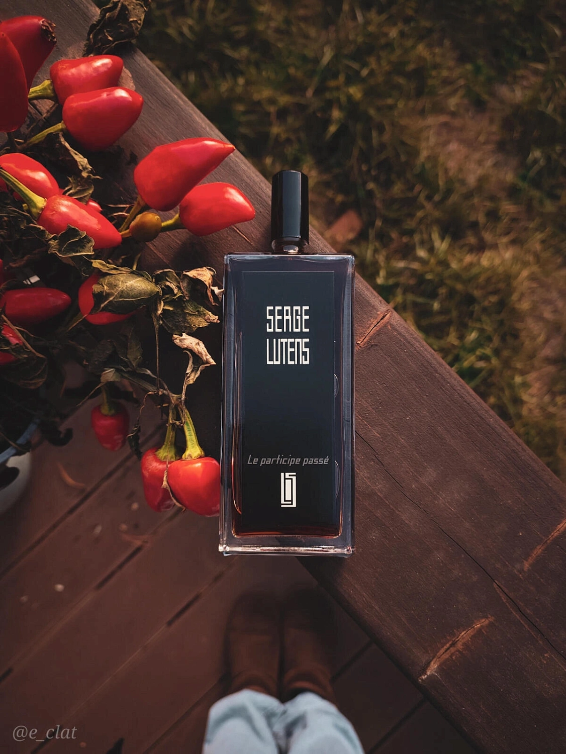 Serge Lutens Le Participe Passe