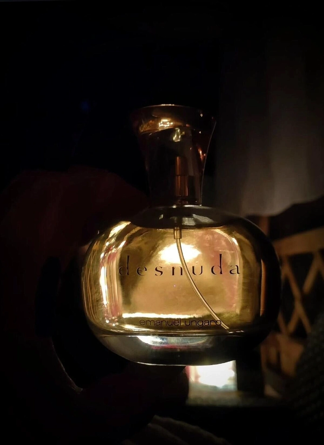 Emanuel Ungaro Desnuda