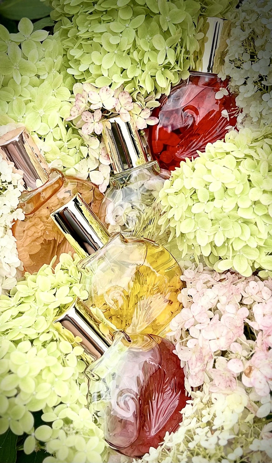 Gloria Vanderbilt Minuit a New York