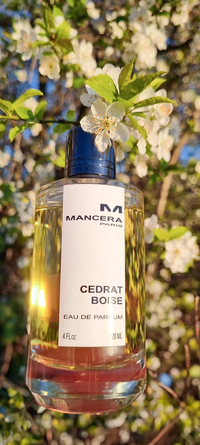 Mancera Cedrat Boise Mancera Cedrat Boise