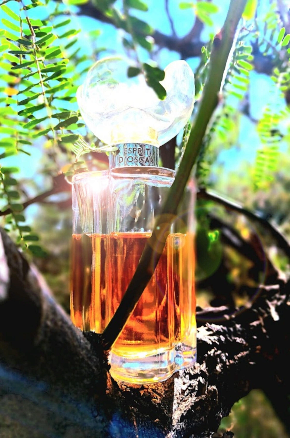 Oscar de la Renta Esprit d’Oscar