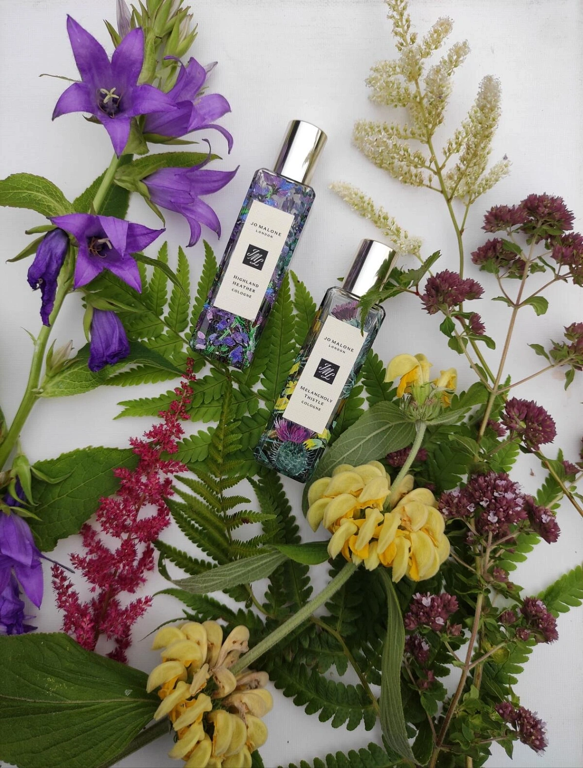 Jo Malone Melancholy Thistle Jo Malone Melancholy Thistle