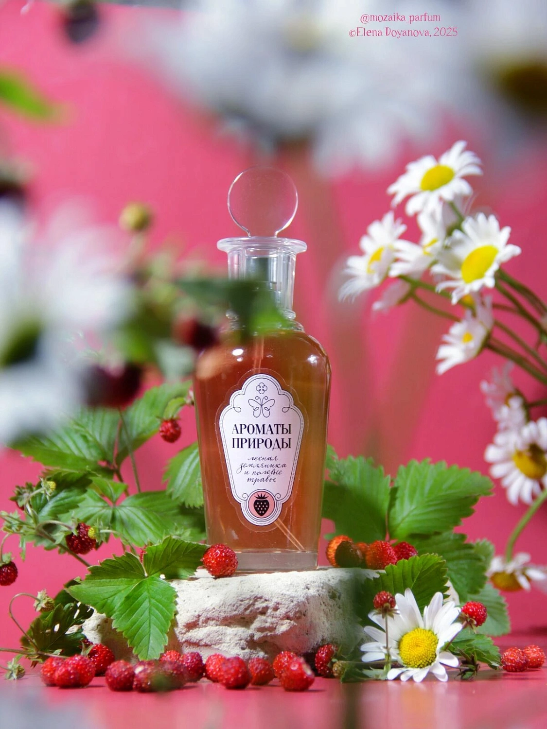 Brocard Лесная Земляника и Полевые Травы