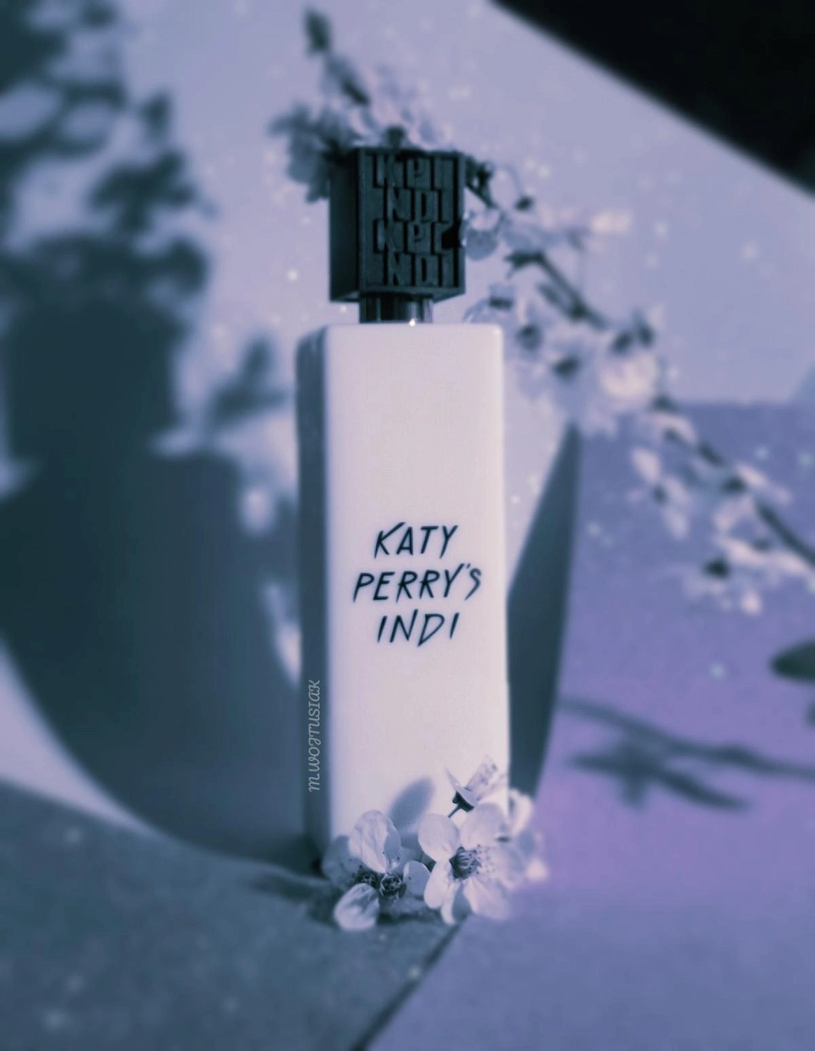 Katy Perry's Indi Katy Perry's Indi