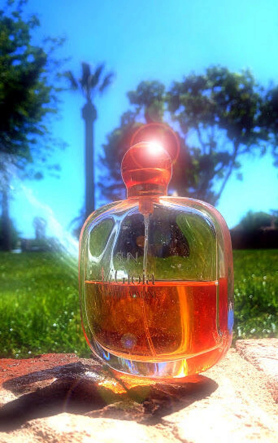 Armani Sun di Gioia
