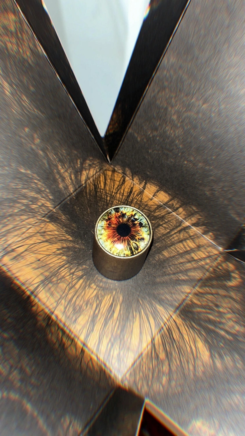 ORTO PARISI Risvelium