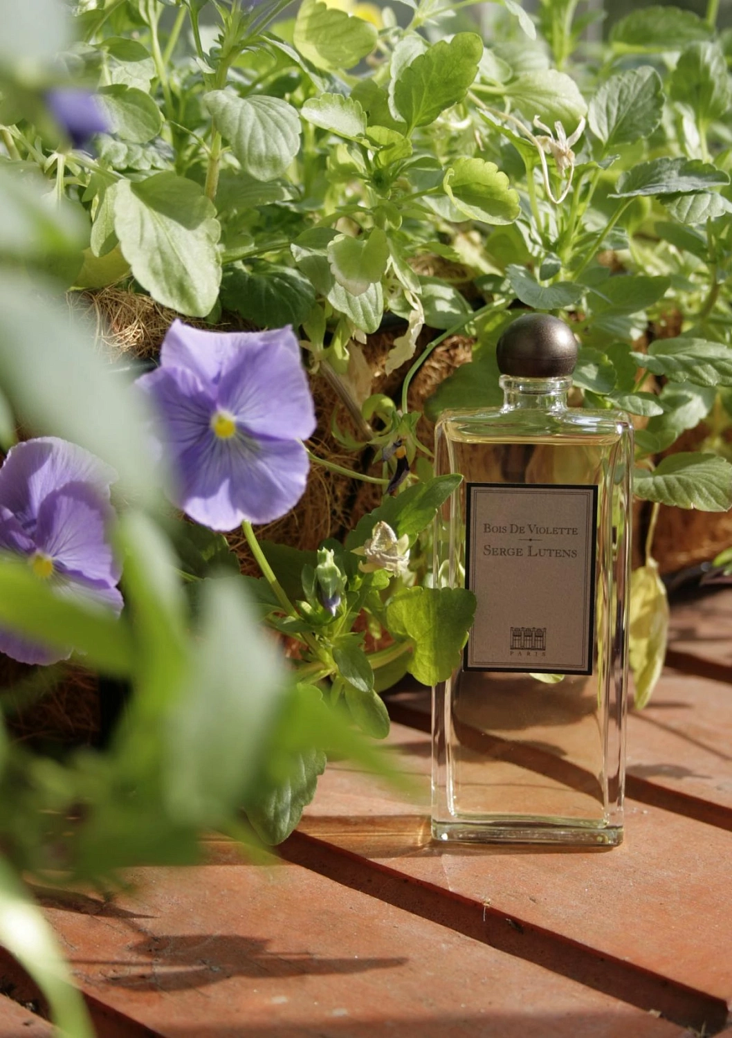 Serge Lutens Bois de Violette