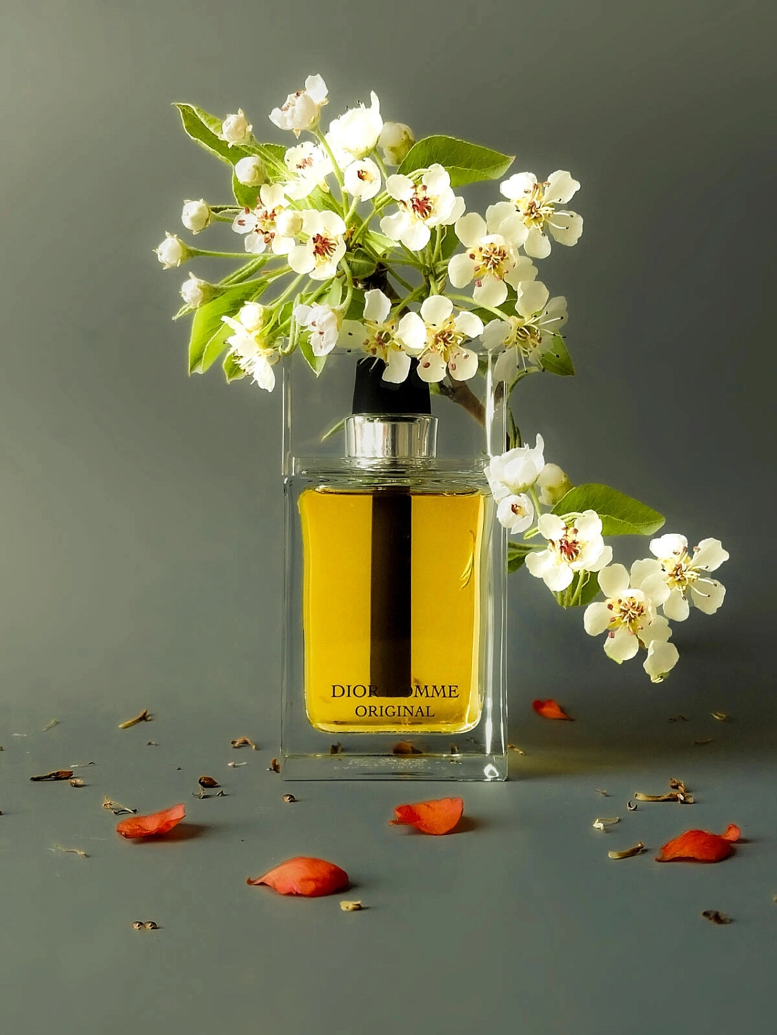 Christian Dior Dior Homme Original