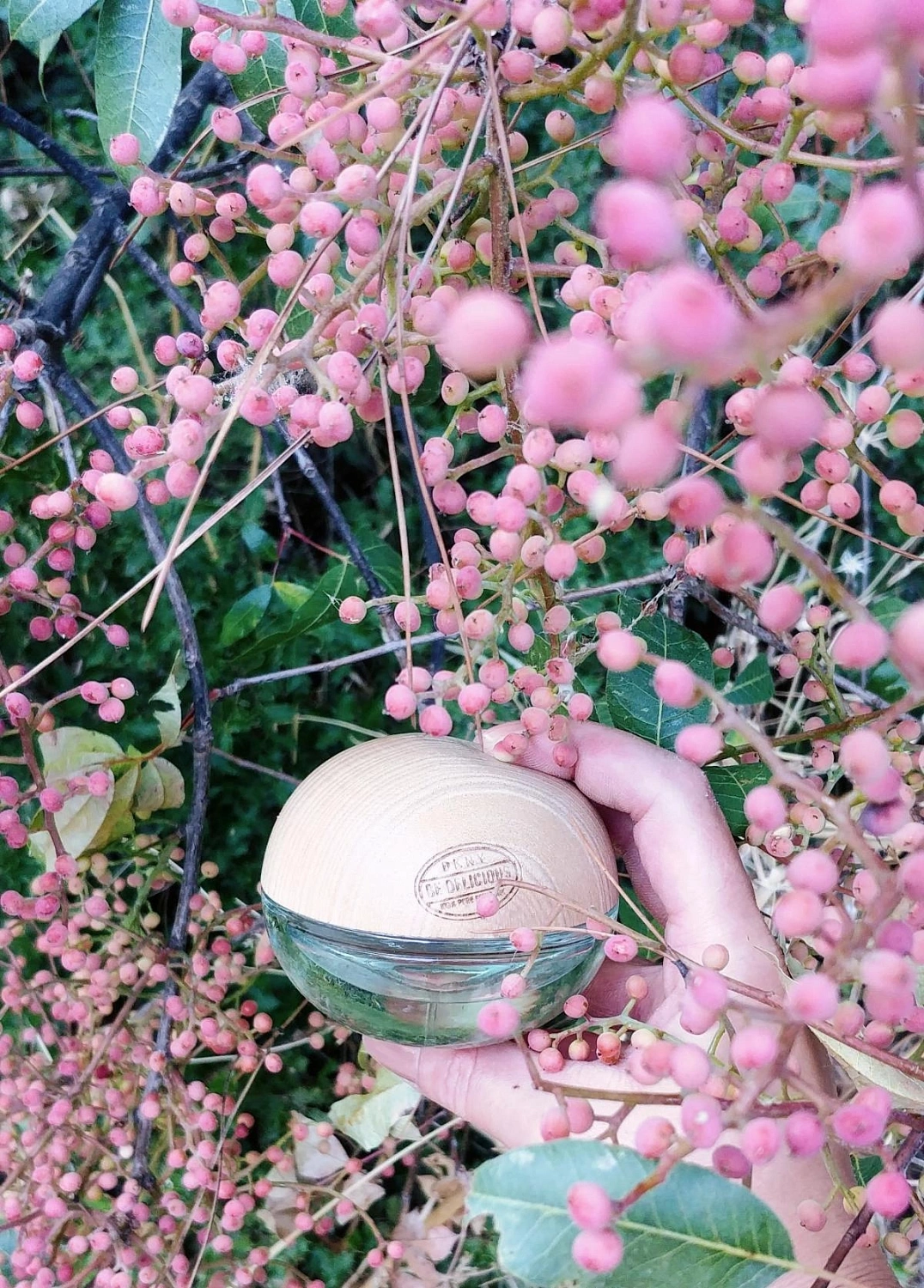 DKNY Be Delicious Coconuts About Summer