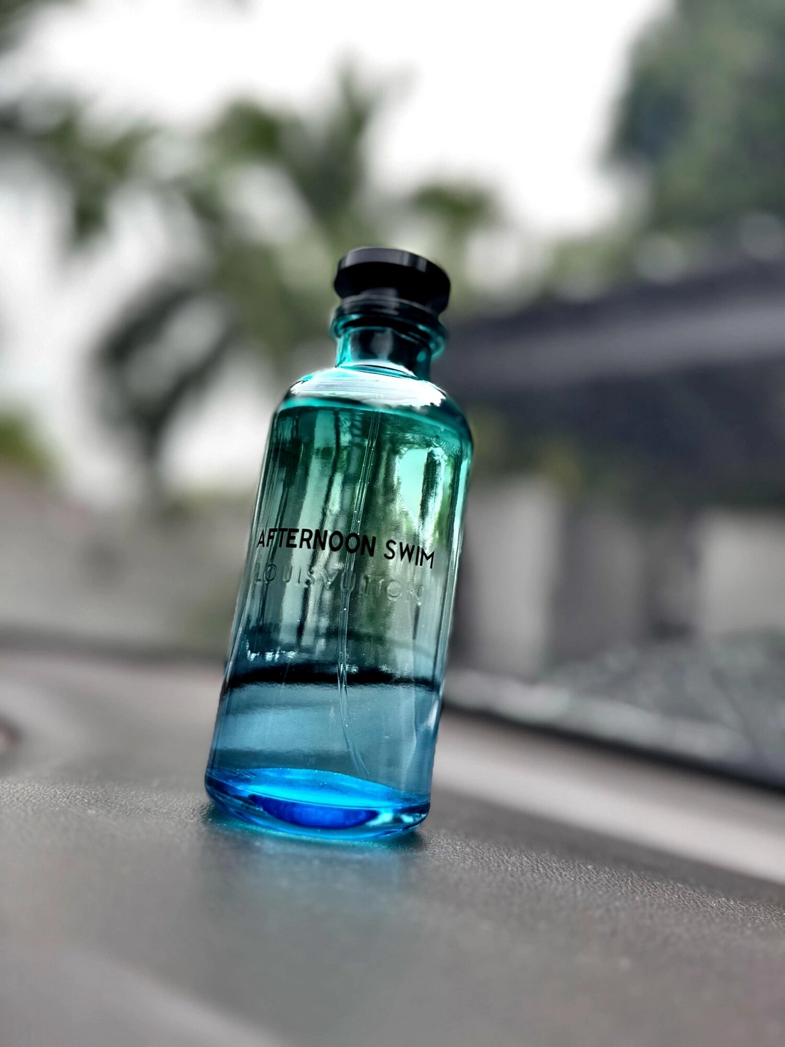 Louis Vuitton Afternoon Swim