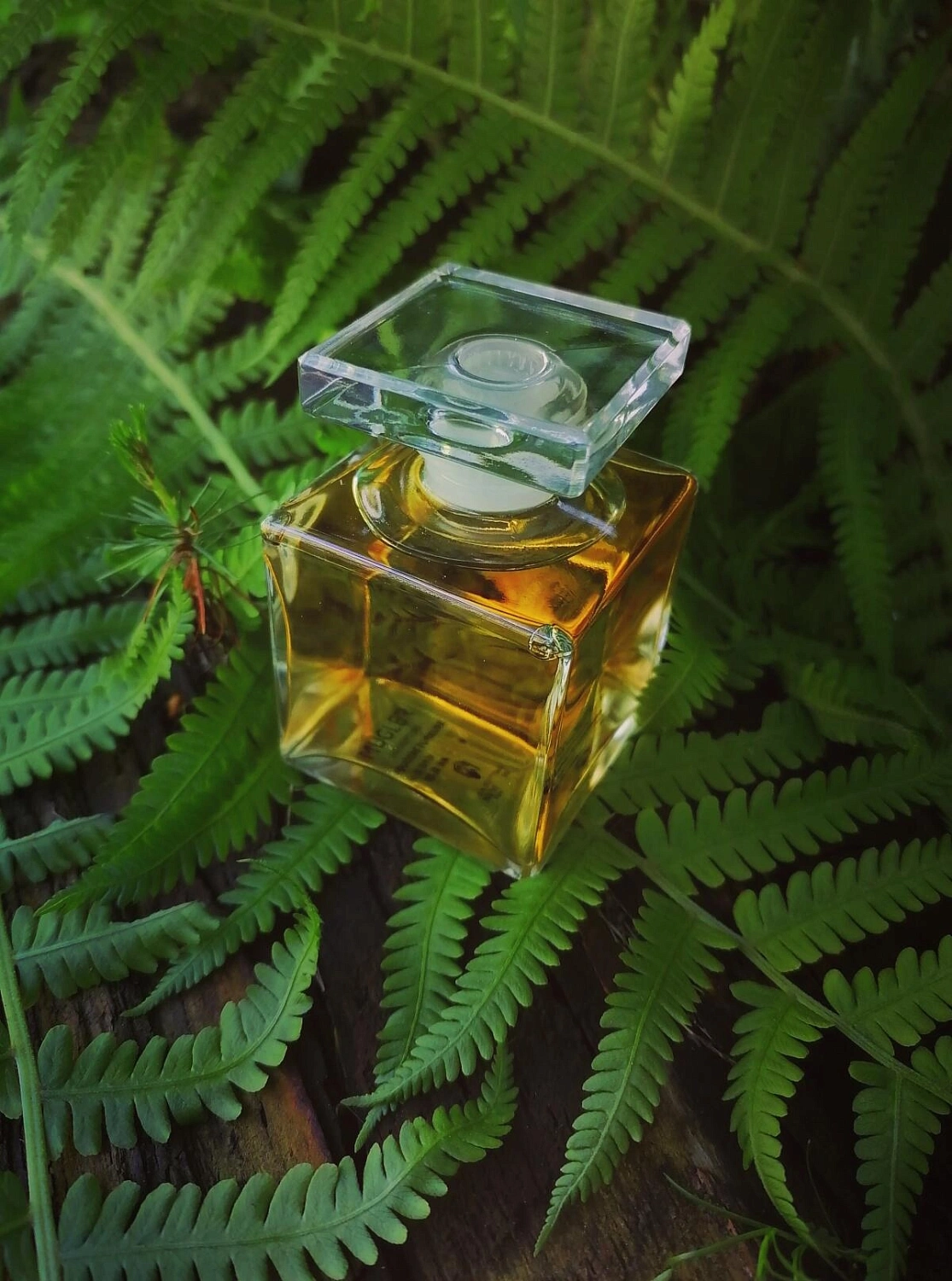 MUGLER Fougere Furieuse MUGLER Fougere Furieuse