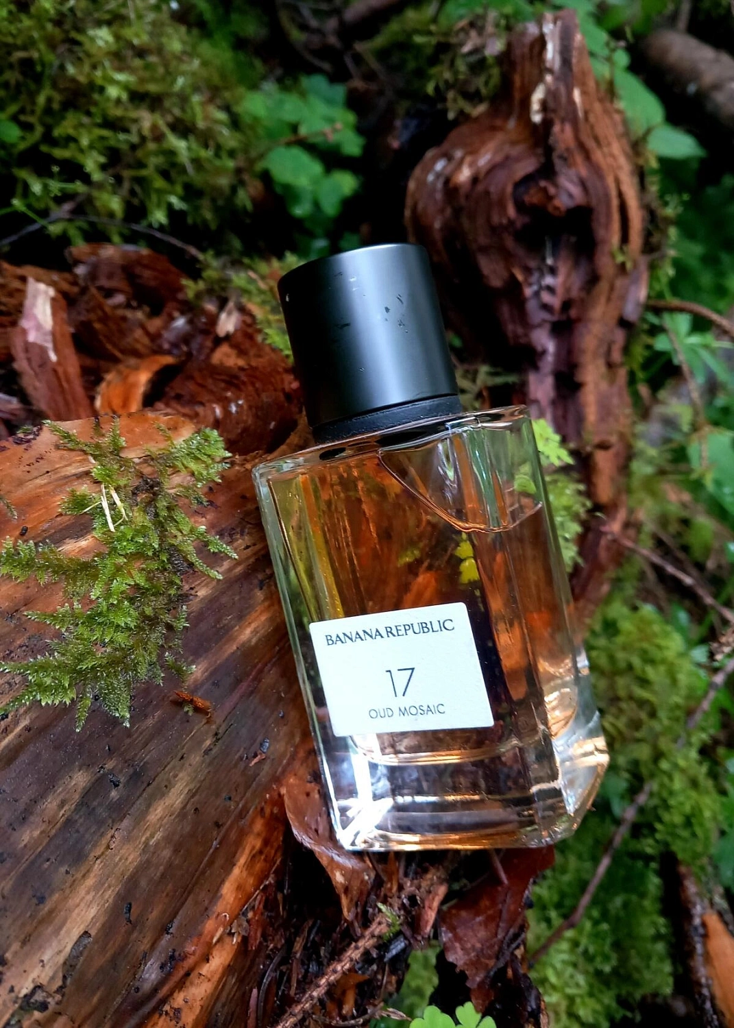 Banana Republic 17 Oud Mosaic