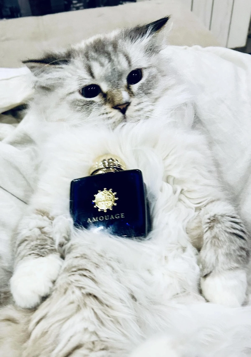 Amouage Interlude Woman