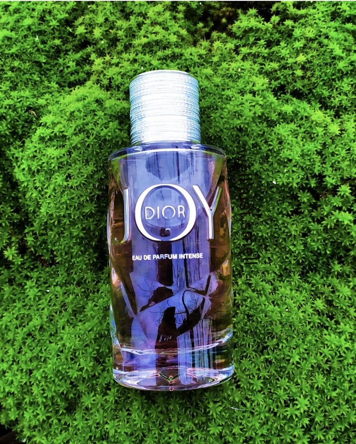 Christian Dior Joy by Dior Intense