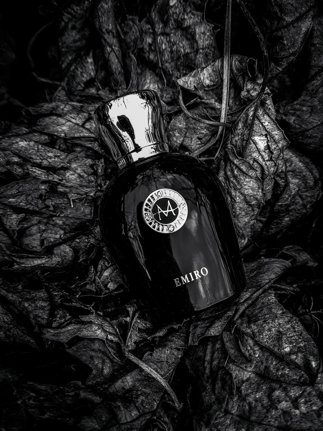 Moresque Emiro Moresque Emiro