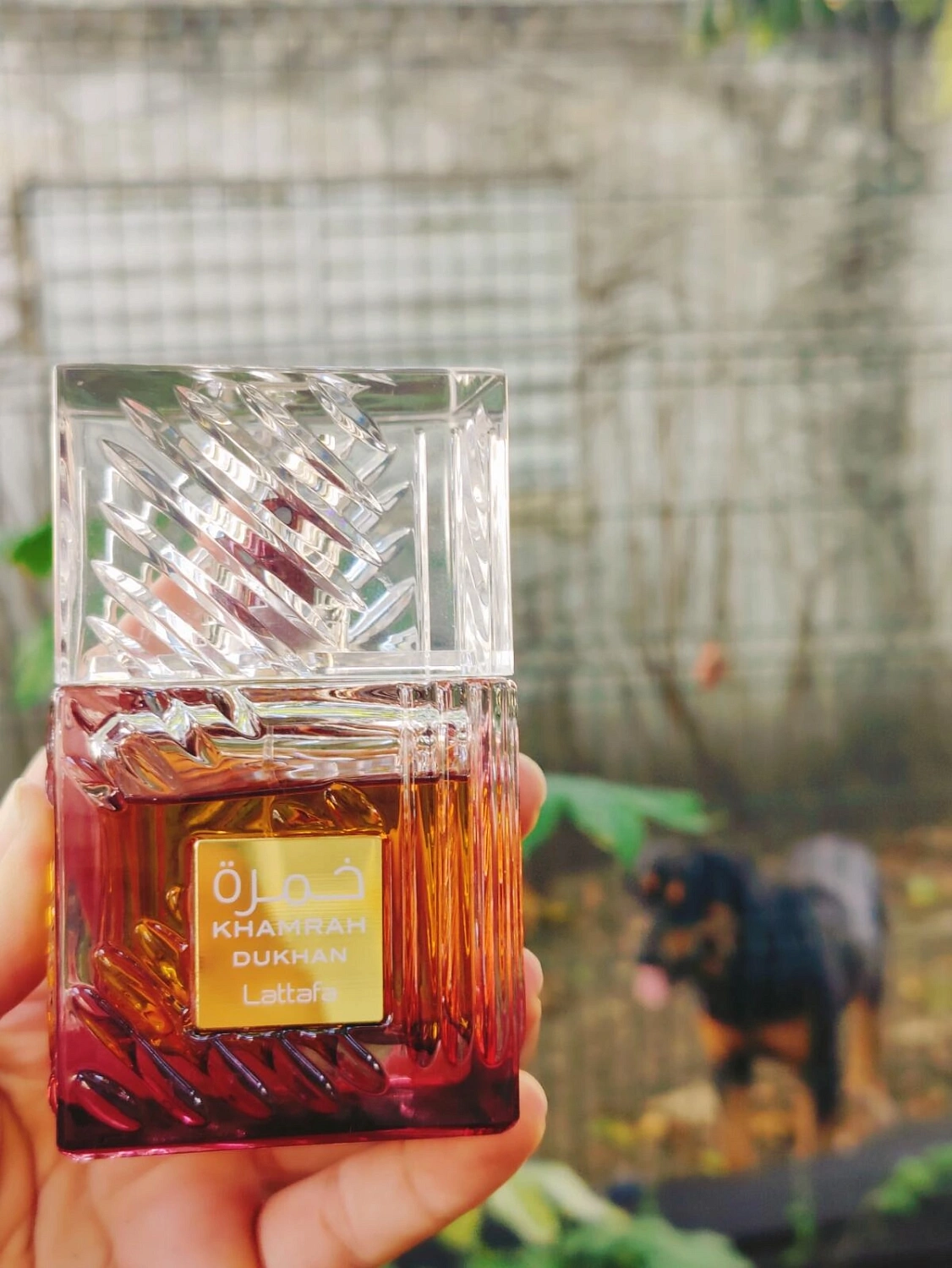 Lattafa Khamrah Dukhan