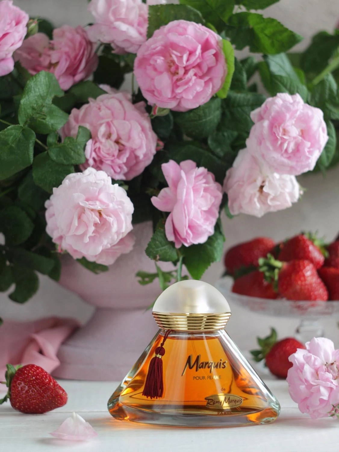 Remy Marquis Marquis