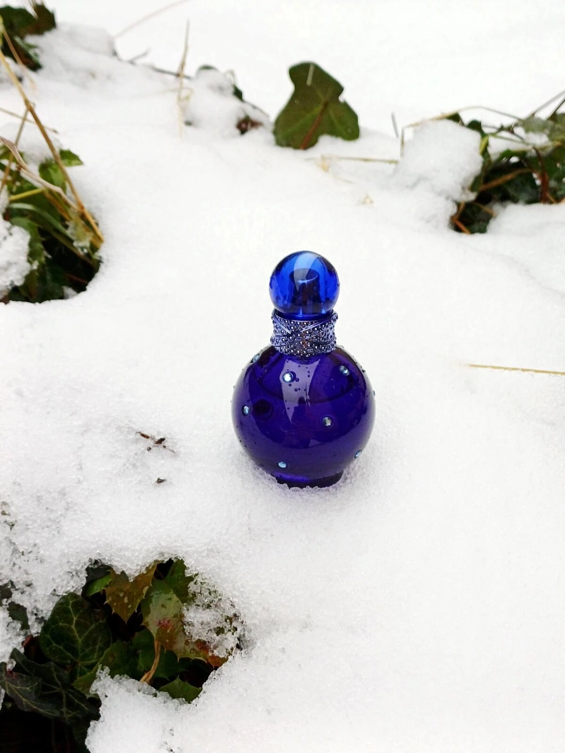 Britney Spears Midnight Fantasy