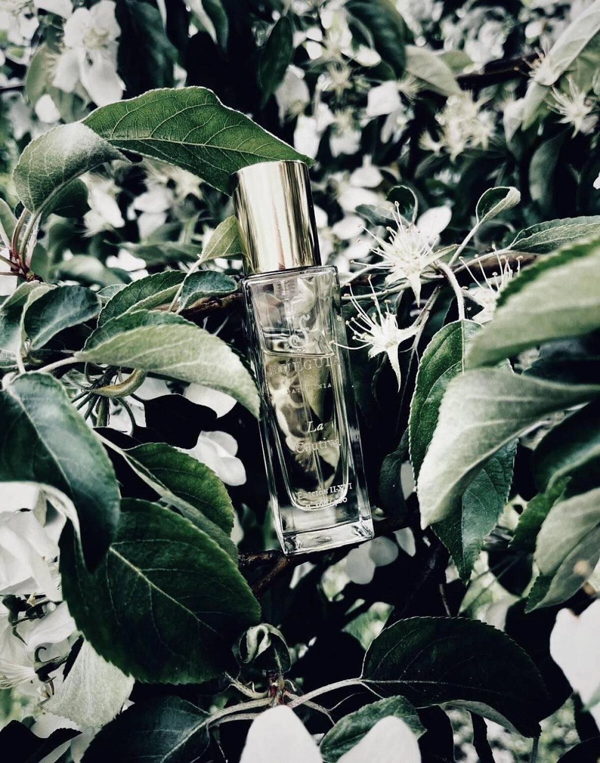 Fueguia 1833 La Cautiva