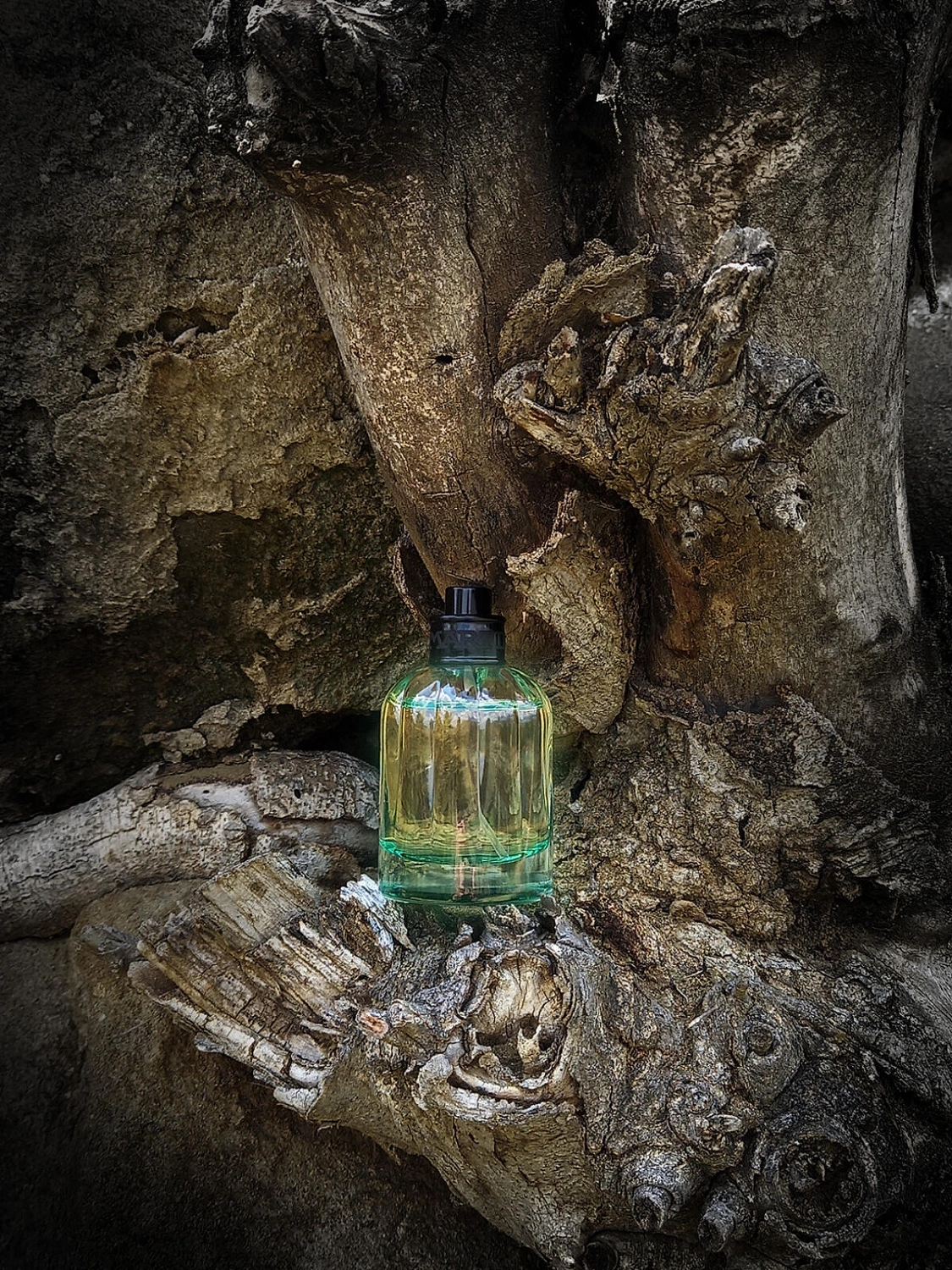 La Martina Colonias Intensas N.01 - Alpha Woods