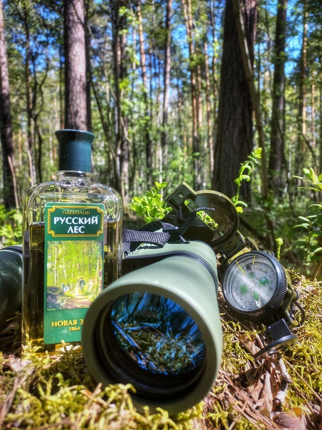 Novaya Zarya (Новая Заря) Русский Лес (Russian Forest)