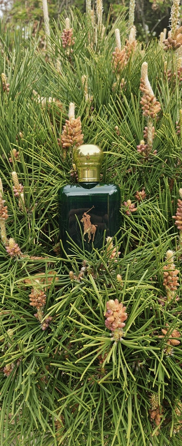 Ralph Lauren Polo
