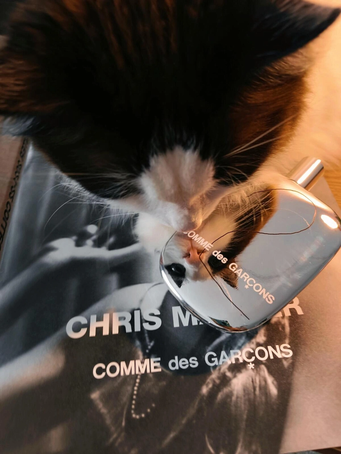 Comme des Garcons 2
