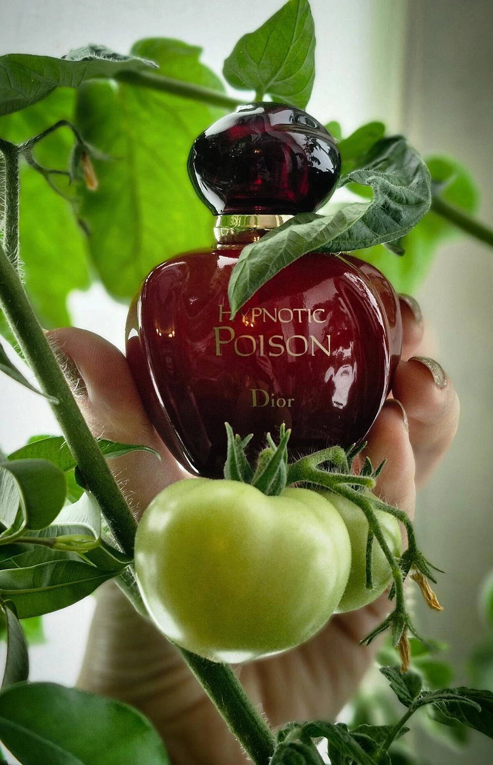 Christian Dior Hypnotic Poison