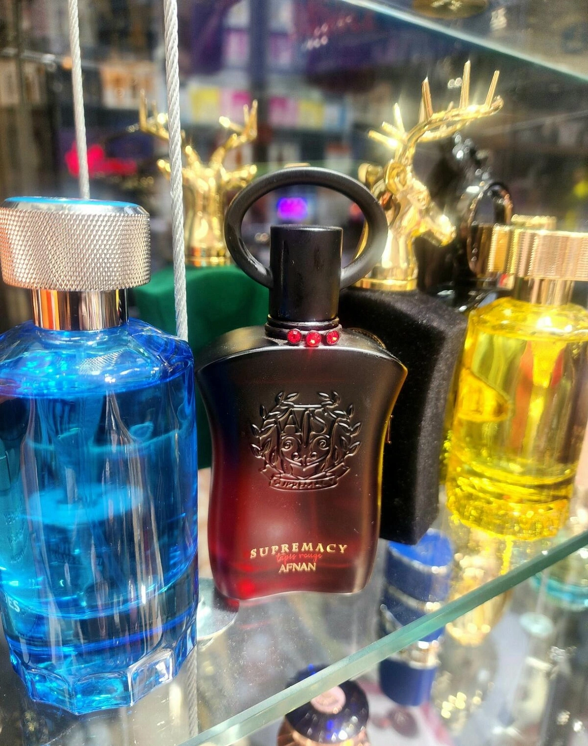 AFNAN Supremacy Tapis Rouge