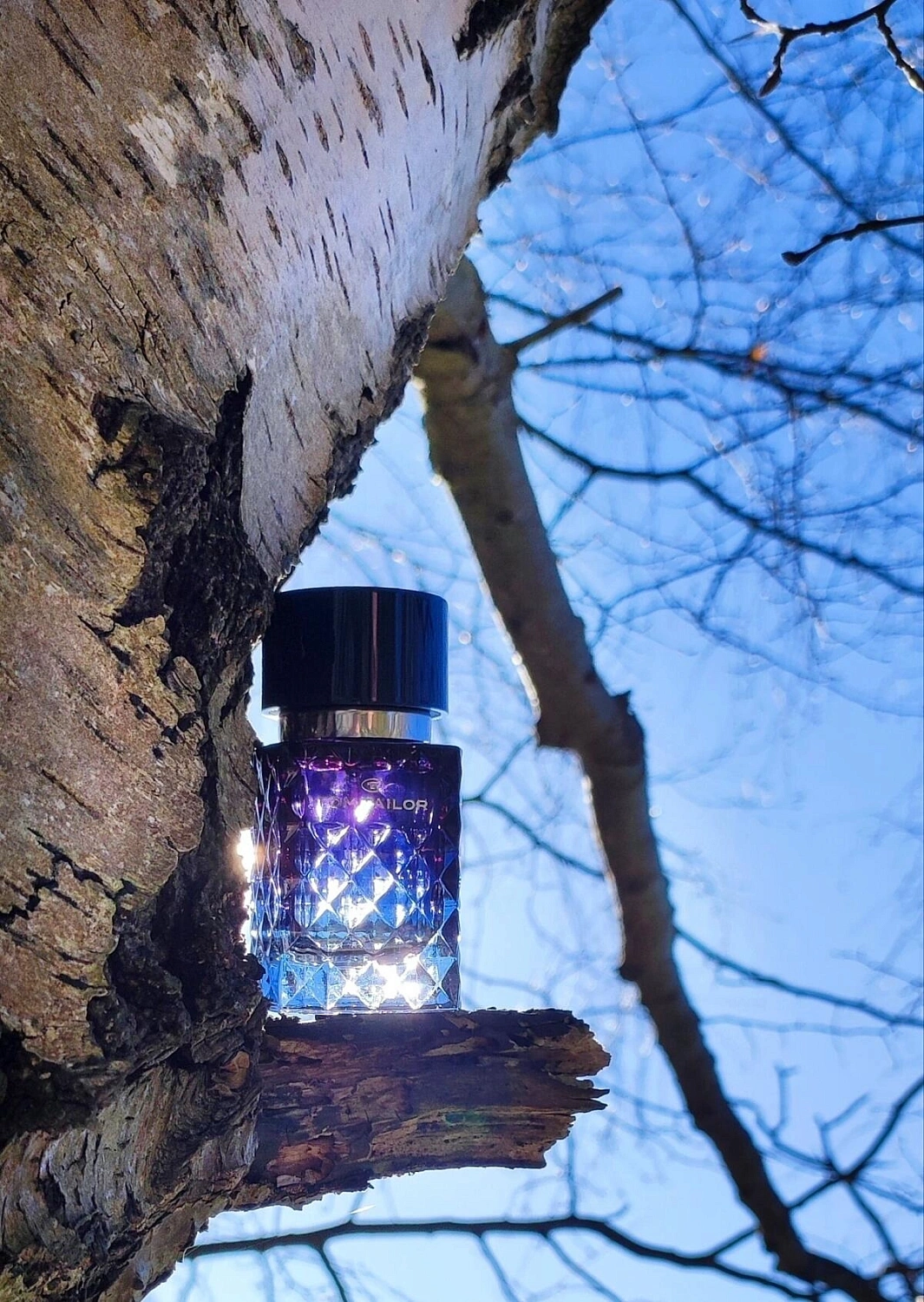 Tom Tailor For Him Eau de Toilette