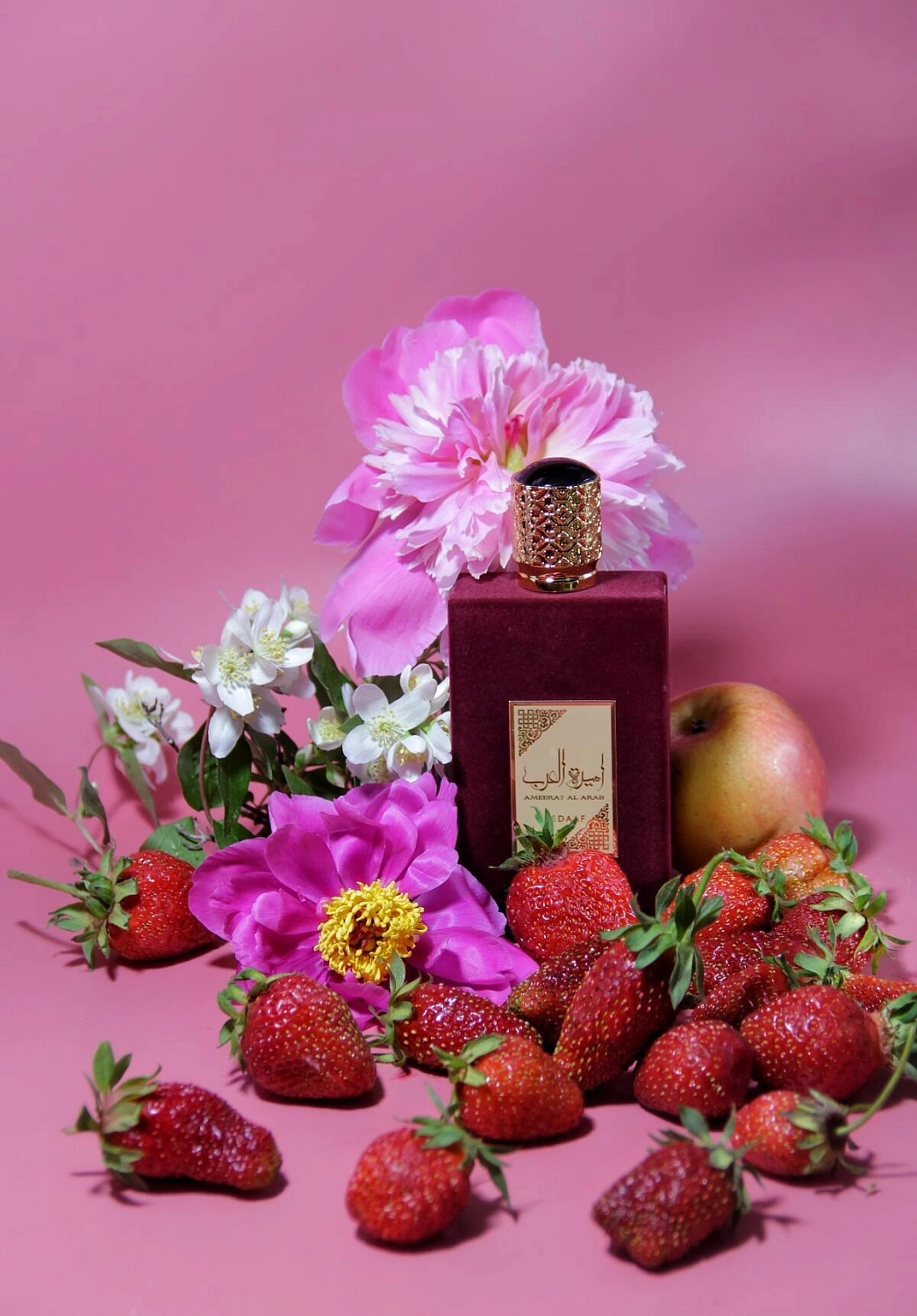 Asdaaf Ameer Al Arab