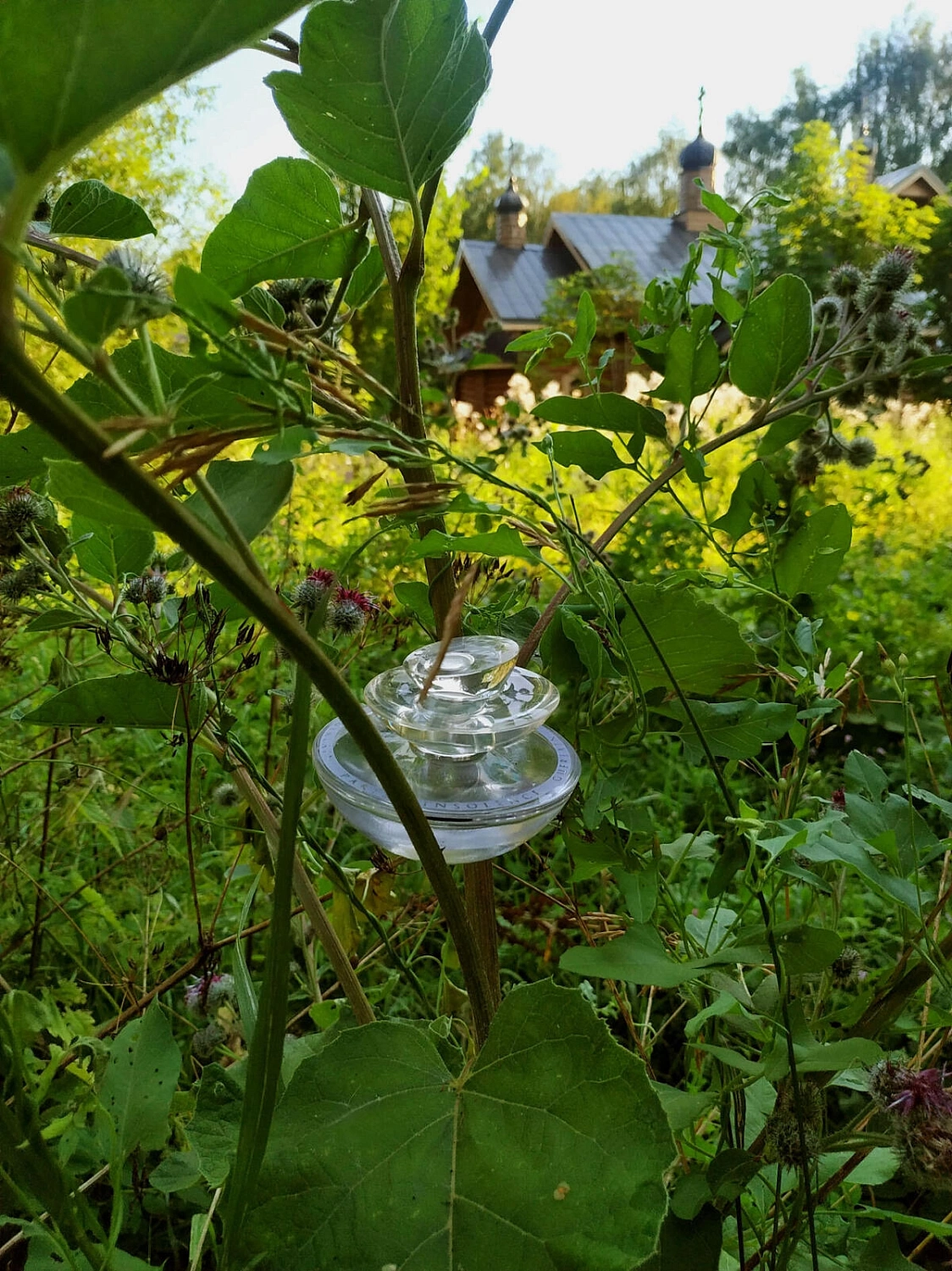 Guerlain Insolence Eau Glacee