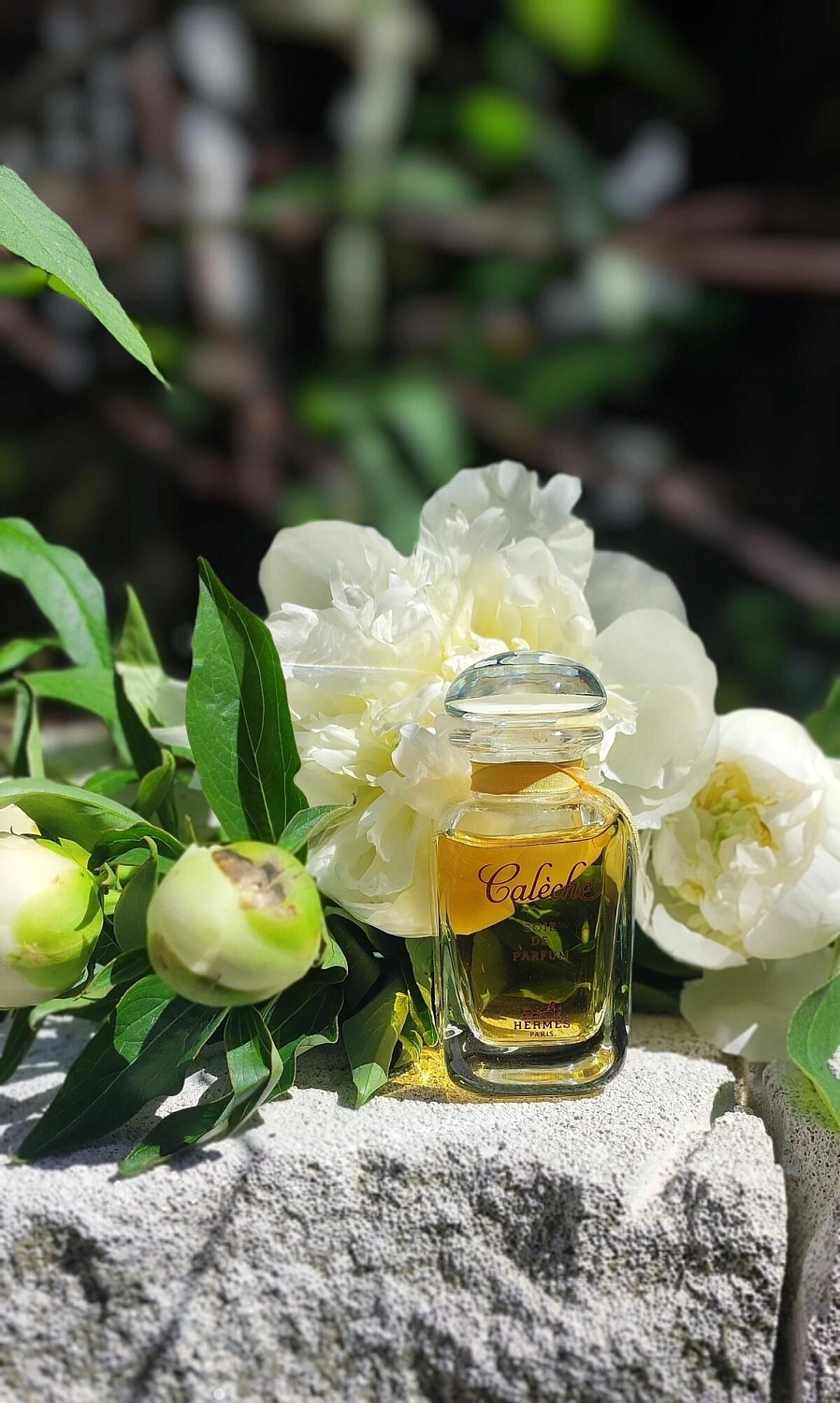 Hermes Caleche Soie de Parfum